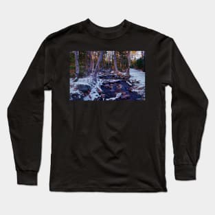 Hemlock Ravine Park 02 Long Sleeve T-Shirt